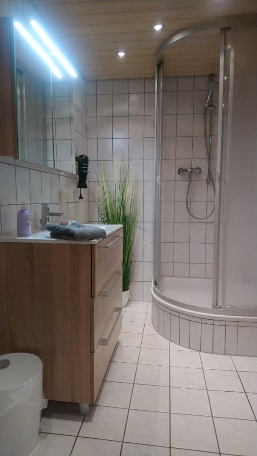Kastanienblick Apartman Sankt Andreasberg Kültér fotó